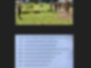 2023 green school app final (19)